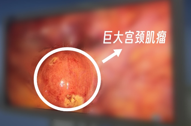 微信圖片_20250407112409_副本.jpg